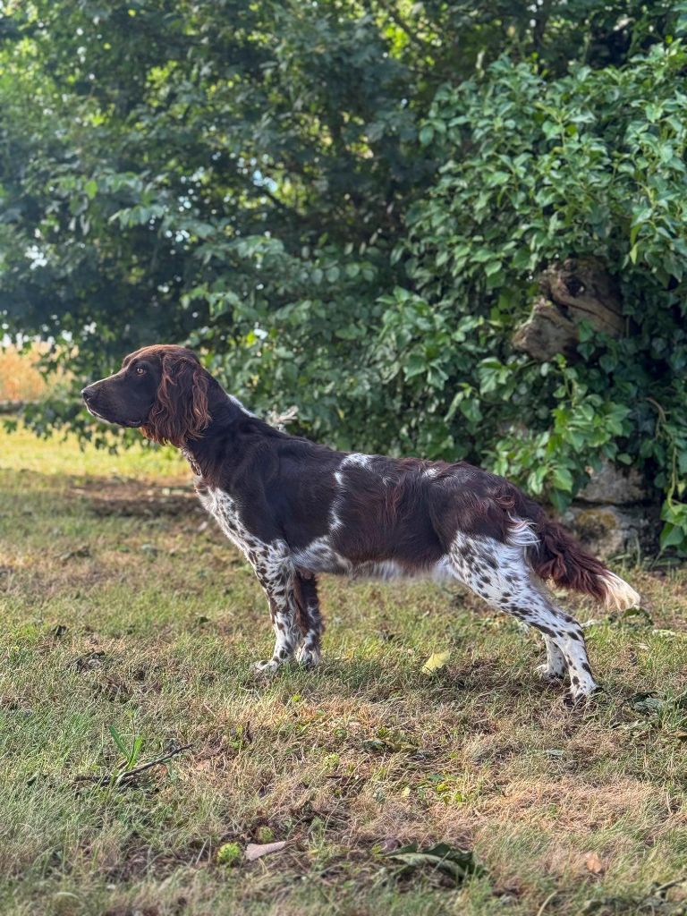 Uraken Des Vestiges Du Moulin